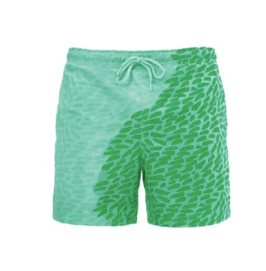 Color Changing Shorts