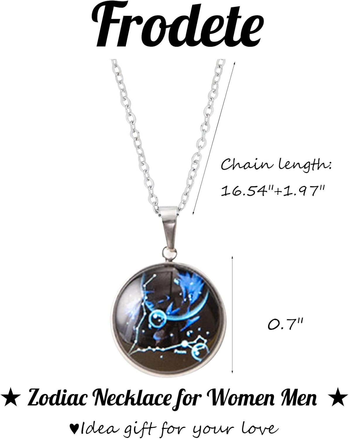 Zodiac Necklace for Women 12 Constellation Pendant Necklaces Silver Zodiac Sign Necklace for Men